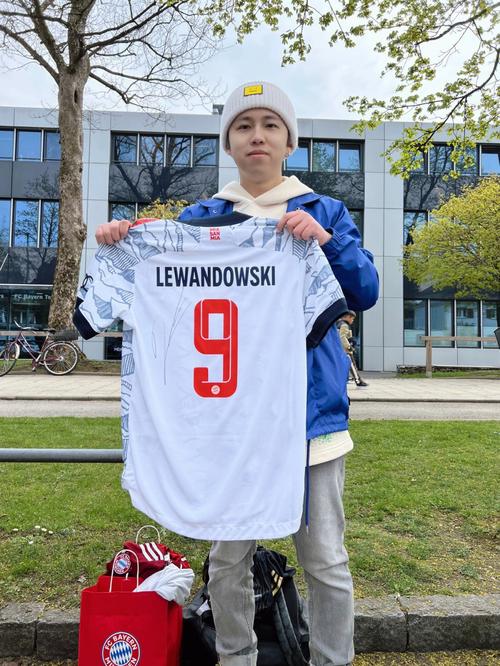 文章总结：曼城主场强势，桑德兰升班马表现稳定，曼城实力占优，但比赛难度大。